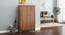 Webster Shoe Cabinet With Lock (24 Pair Capacity, Sheesham Finish) by Urban Ladder - Design 1 Full View - 1009968