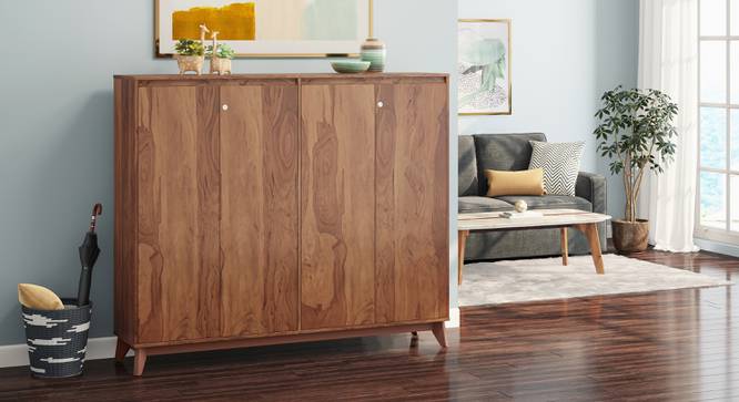 Webster Shoe Cabinet With Lock (48 Pair Capacity, Sheesham Finish) by Urban Ladder - Design 1 Full View - 1009969