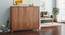 Webster Shoe Cabinet With Lock (48 Pair Capacity, Sheesham Finish) by Urban Ladder - Design 1 Full View - 1009969