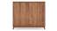 Webster Shoe Cabinet With Lock (48 Pair Capacity, Sheesham Finish) by Urban Ladder - Cross View Design 1 - 1009975
