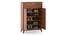 Webster Shoe Cabinet With Lock (15 Pair Capacity, Sheesham Finish) by Urban Ladder - Design 1 Side View - 1009976