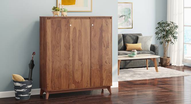 Webster Shoe Cabinet With Lock (32 Pair Capacity, Sheesham Finish) by Urban Ladder - Design 1 Full View - 1009987