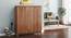 Webster Shoe Cabinet With Lock (32 Pair Capacity, Sheesham Finish) by Urban Ladder - Design 1 Full View - 1009987