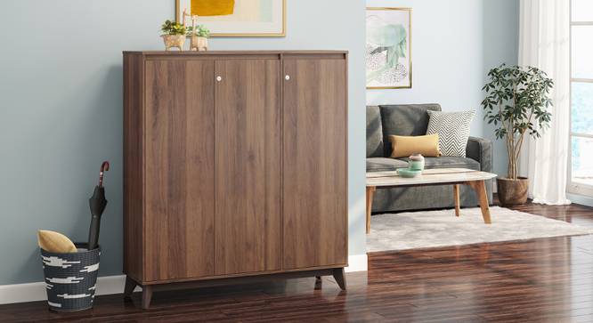 Webster Shoe Cabinet With Lock (32 Pair Capacity, Classic Walnut Finish) by Urban Ladder - Design 1 Full View - 1009988