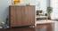 Webster Shoe Cabinet With Lock (48 Pair Capacity, Classic Walnut Finish) by Urban Ladder - Design 1 Full View - 1009989