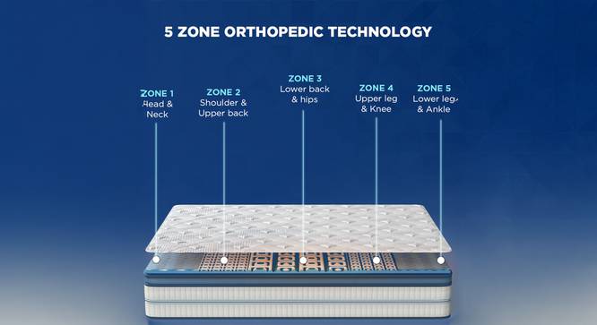 Strength Plus - Doctor Recommended 5 Zone Dual Density Orthopedic Support layer High Density Coir Memory Foam Mattress - Queen Size (White, Queen Mattress Type, 72 x 60 in Mattress Size, 8 in Mattress Thickness (in Inches)) by Urban Ladder - - 