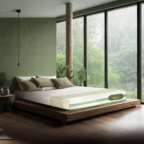 Tatva lp