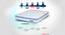 Posture Perfect - Doctor Recommended 5 Zone Dual Density Orthopedic Support layer 3 Zone Pocket Spring Mattress with Euro Top - Queen Size (White, Queen Mattress Type, 8 in Mattress Thickness (in Inches), 75 x 66 in Mattress Size) by Urban Ladder - - 