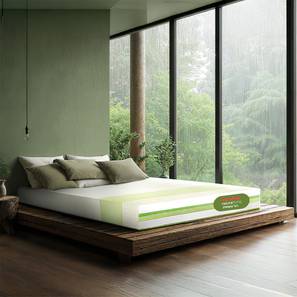 Prana lp