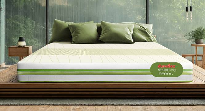 Prana - Organic Cotton Fabric Single Size Spring Mattress (Single, 8 in Mattress Thickness (in Inches), 84 x 36 in Mattress Size) by Urban Ladder - - 
