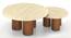 Enzo Set of Two Coffee Table, with Travertine Marble top, finish - Amber Walnut (Amber Walnut Finish) by Urban Ladder - - 