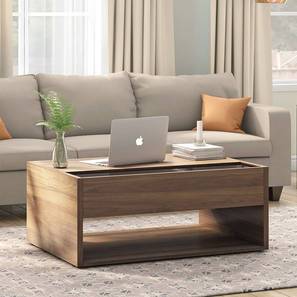 gudsmith Alita Rectangular Engineered Wood Coffee Table in Brown Finish-picture-16