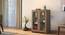 Hubert 2 Door Display Cabinet (Blue Finish) by Urban Ladder - - 