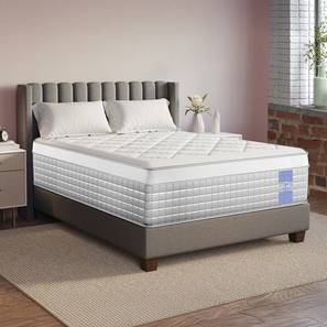 Mattresses Bedding In Patna Design Gravity Hybrid Euro Top 5 Zoned Zero Partner Disturbance & 7 Layered Foam King Size Pocket Spring Mattress (King Mattress Type, 75 x 72 in Mattress Size, 10 in Mattress Thickness (in Inches))