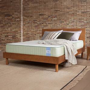 Latex Mattress Design Dreamer Natural Latex Foam Queen Size Mattresss (Queen, 78 x 60 in (Standard) Mattress Size, 8 in Mattress Thickness (in Inches))