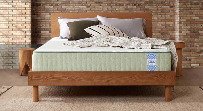 Dreamer Natural Latex Foam Queen Size Mattresss (Queen, 8 in Mattress Thickness (in Inches), 75 x 60 in Mattress Size) by Urban Ladder - - 