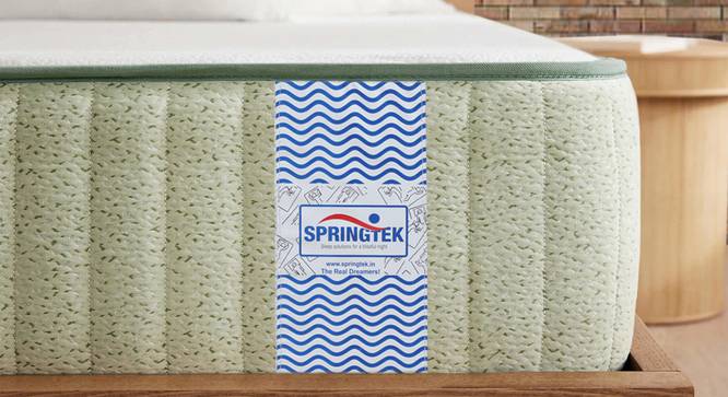 Dreamer Natural Latex Foam Queen Size Mattresss (Queen, 72 x 60 in Mattress Size, 6 in Mattress Thickness (in Inches)) by Urban Ladder - - 