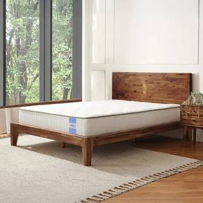 Springtek Mattress Design Supernova Orthopaedic Latex & Memory Foam Latex Queen Size Mattress (78 x 60 in (Standard) Mattress Size, 8 in Mattress Thickness (in Inches))