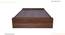Double Bed without storage in Columbian walnut (Columbian Walnut Finish, Double Bed Size) by Urban Ladder - - 