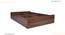 Double Bed without storage in Columbian walnut (Columbian Walnut Finish, Double Bed Size) by Urban Ladder - - 