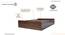 Double Bed without storage in Columbian walnut (Columbian Walnut Finish, Double Bed Size) by Urban Ladder - - 