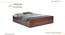 Double Bed without storage in Columbian walnut (Columbian Walnut Finish, Double Bed Size) by Urban Ladder - - 