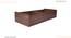Single Bed without storage in Columbian walnut (Single Bed Size, Columbian Walnut Finish) by Urban Ladder - - 