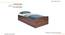 Single Bed without storage in Columbian walnut (Single Bed Size, Columbian Walnut Finish) by Urban Ladder - - 