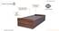Single Bed without storage in Columbian walnut (Single Bed Size, Columbian Walnut Finish) by Urban Ladder - - 