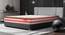 Boltt Plus 3 Zoned NRG Layer Medium Firm Bonnell Spring Euro Top Mattress with Extra Air Circulation and Coolness - King Size (Beige, King Mattress Type, 8 in Mattress Thickness (in Inches), 75 x 72 in Mattress Size) by Urban Ladder - - 