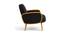 Derel Accent Chair in Pink Colour (Black) by Urban Ladder - - 