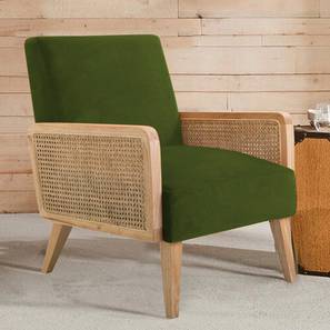 Evant Accent Chair in Mint Green Colour-image-44