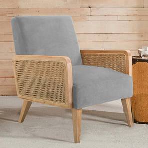 Evant Accent Chair in Grey Colour-image-42