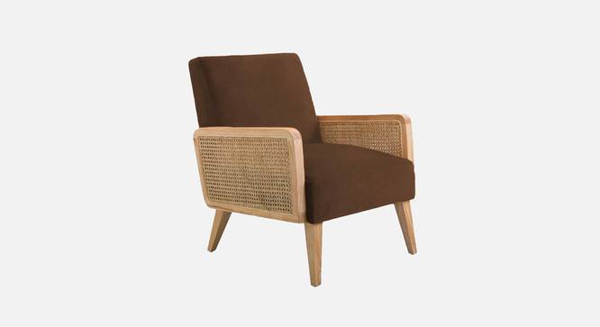 Evant Ratan Accent Chair in Green Colour (Brown) by Urban Ladder - - 