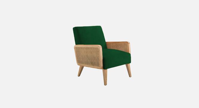 Evant Ratan Accent Chair in Green Colour (Green) by Urban Ladder - - 