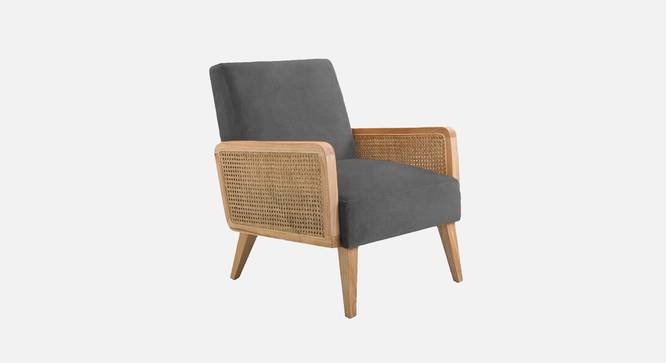 Evant Ratan Accent Chair in Green Colour (Dark Grey) by Urban Ladder - - 