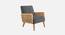 Evant Ratan Accent Chair in Green Colour (Dark Grey) by Urban Ladder - - 