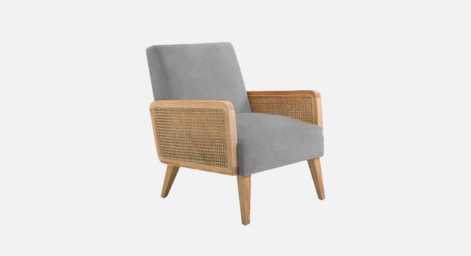Evant Ratan Accent Chair in Green Colour (Grey) by Urban Ladder - - 