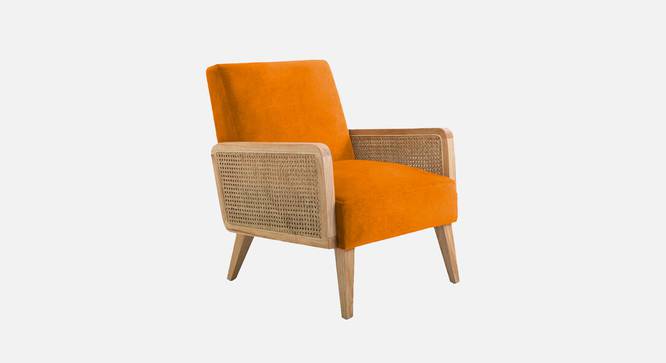 Evant Ratan Accent Chair in Green Colour (Orange) by Urban Ladder - - 