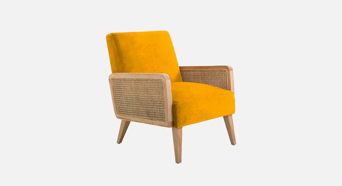 Evant Ratan Accent Chair in Green Colour (Yellow) by Urban Ladder - - 