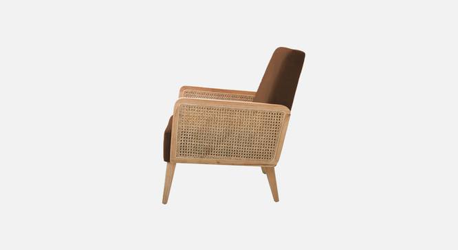 Evant Ratan Accent Chair in Green Colour (Brown) by Urban Ladder - - 