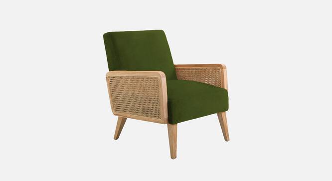 Evant Ratan Accent Chair in Green Colour (Mint Green) by Urban Ladder - - 