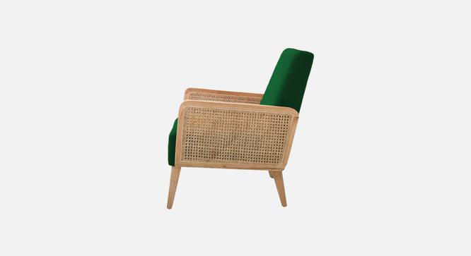 Evant Ratan Accent Chair in Green Colour (Green) by Urban Ladder - - 