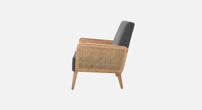 Evant Ratan Accent Chair in Green Colour (Dark Grey) by Urban Ladder - - 