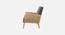 Evant Ratan Accent Chair in Green Colour (Dark Grey) by Urban Ladder - - 