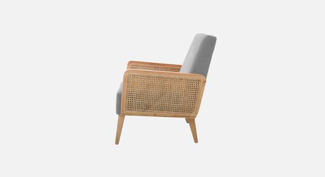 Evant Ratan Accent Chair in Green Colour (Grey) by Urban Ladder - - 