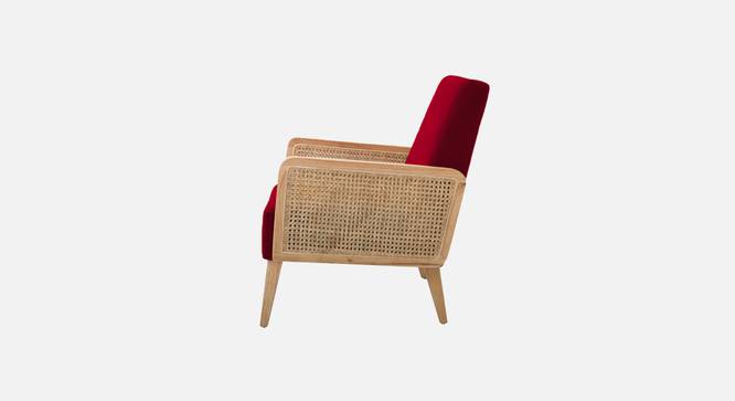 Evant Ratan Accent Chair in Green Colour (Maroon) by Urban Ladder - - 