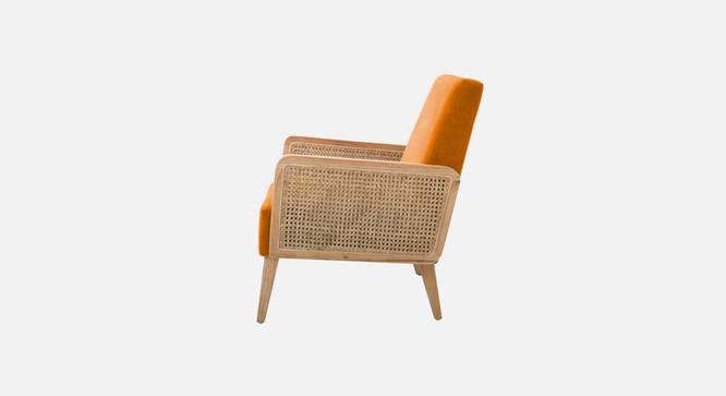 Evant Ratan Accent Chair in Green Colour (Orange) by Urban Ladder - - 