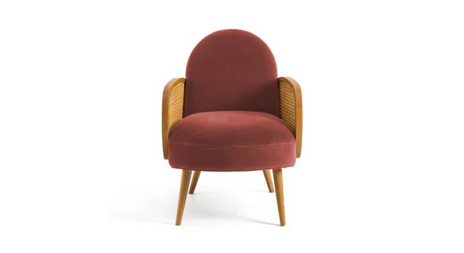 Holden Cane Accent Chair in Pink Colour (Pink) by Urban Ladder - - 