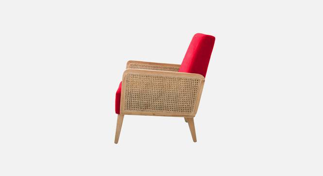 Evant Ratan Accent Chair in Green Colour (Red) by Urban Ladder - - 